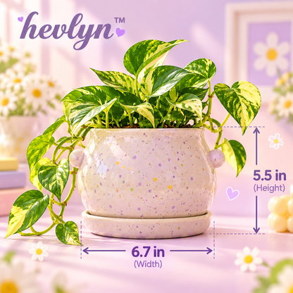 𝒉𝒆𝒗𝒍𝒚𝒏™ Speckled Ceramic Tabletop Pot