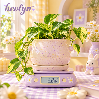 𝒉𝒆𝒗𝒍𝒚𝒏™ Speckled Ceramic Tabletop Pot