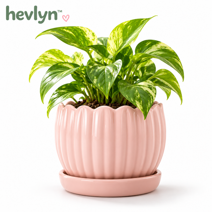 𝒉𝒆𝒗𝒍𝒚𝒏™ Vertical Ribbed Ceramic Planter