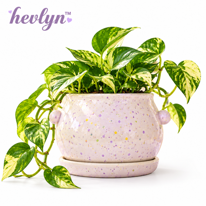 𝒉𝒆𝒗𝒍𝒚𝒏™ Speckled Ceramic Tabletop Pot
